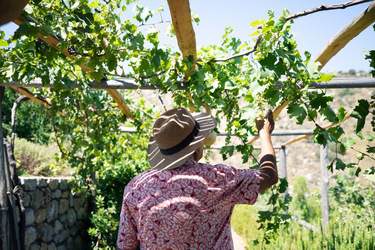Silversea S.A.L.T. Experiences Greece Crete ©Silversea Cruises Ltd.jpg